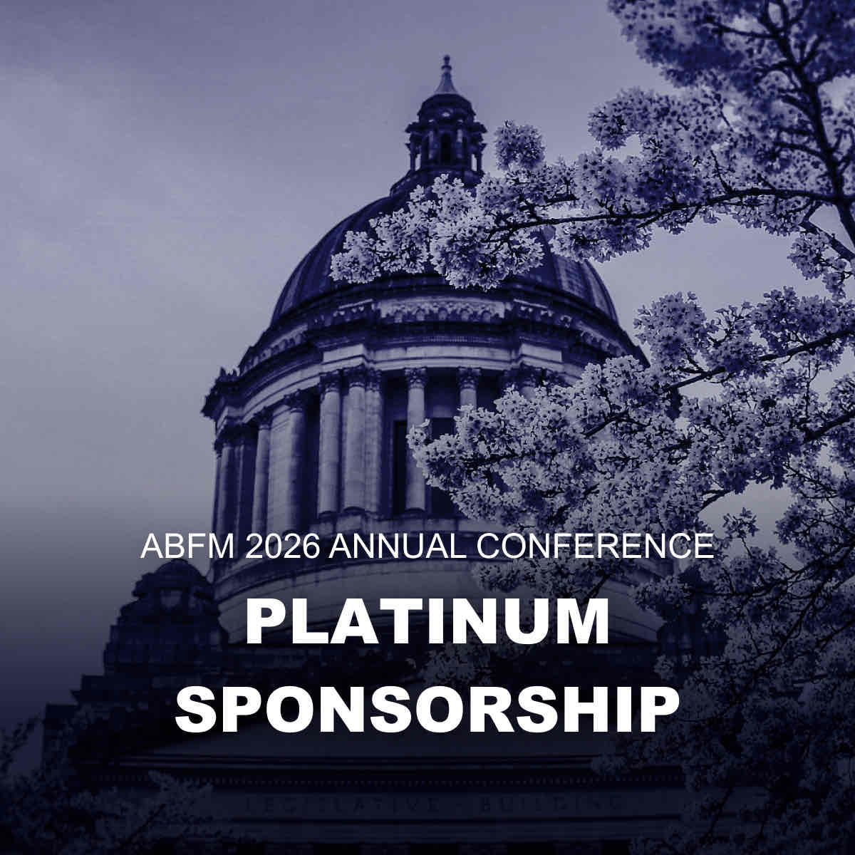 Platinum Sponsorship