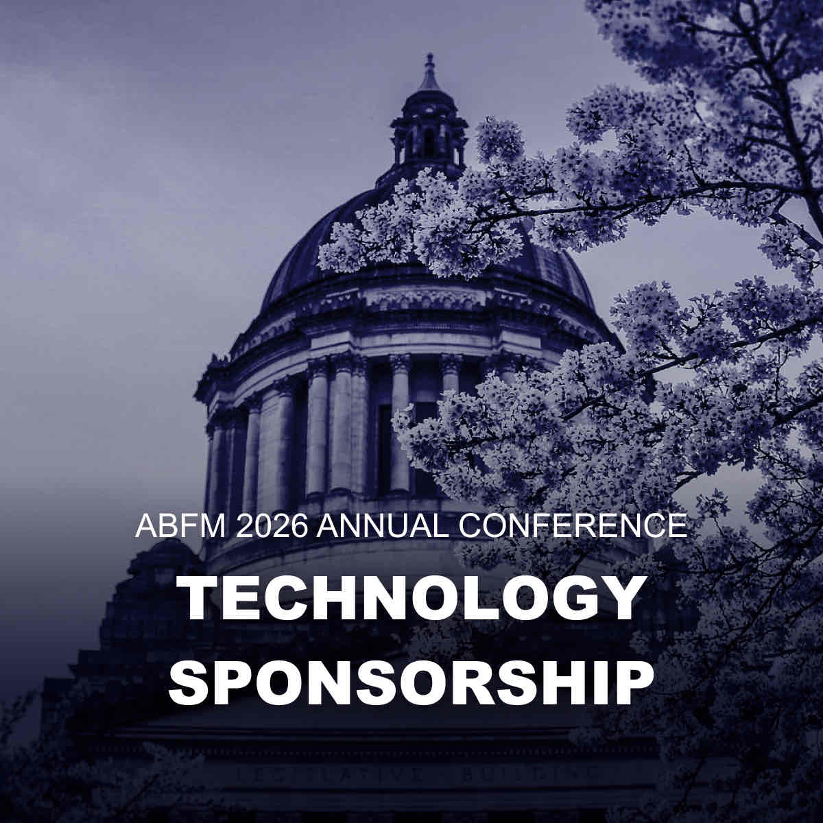 Technology Sponsorship